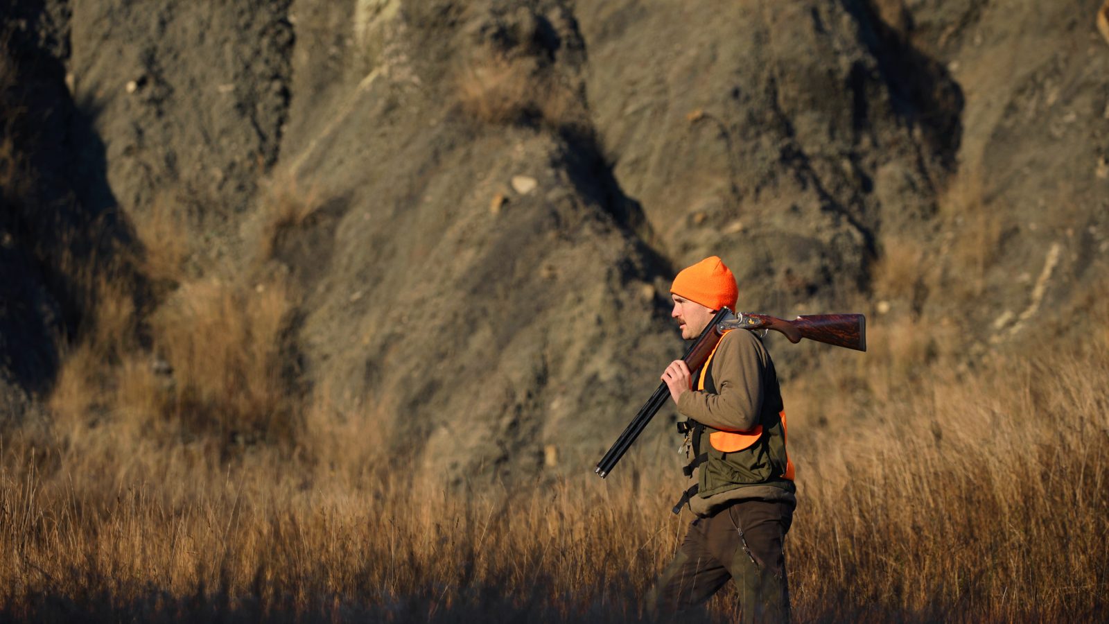 Feeling Sideplate SPLX Gallery