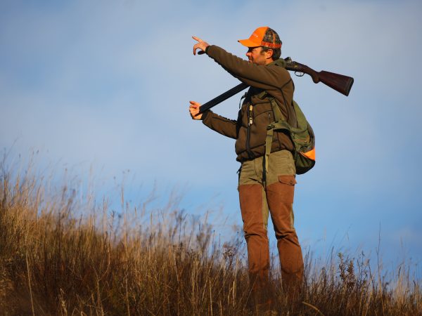 Feeling Sideplate Gallery