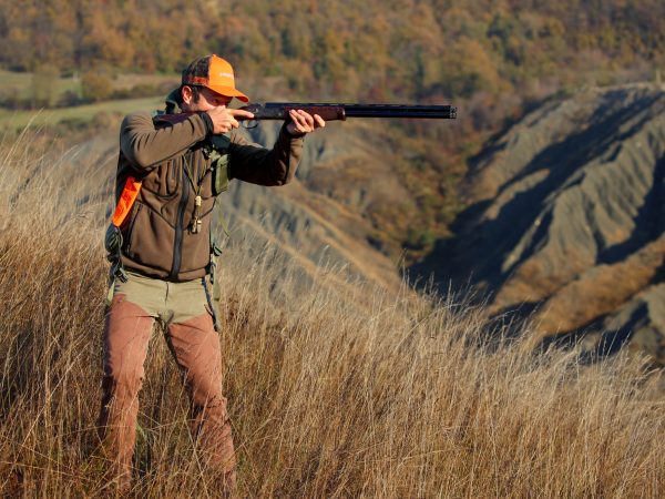 Feeling Sideplate Gallery