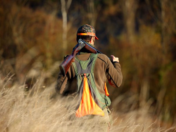 Feeling Sideplate Gallery