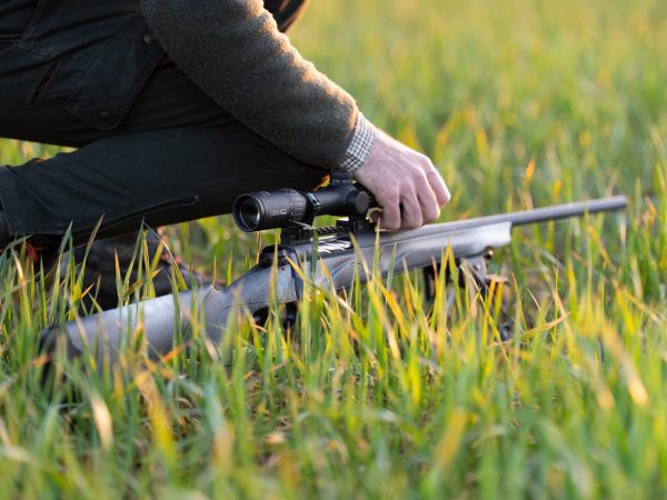 Horizon Elite Shade Gallery