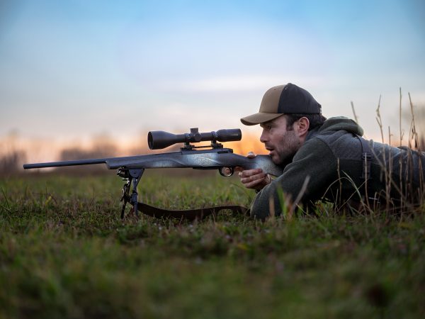 Horizon Elite Shade Gallery