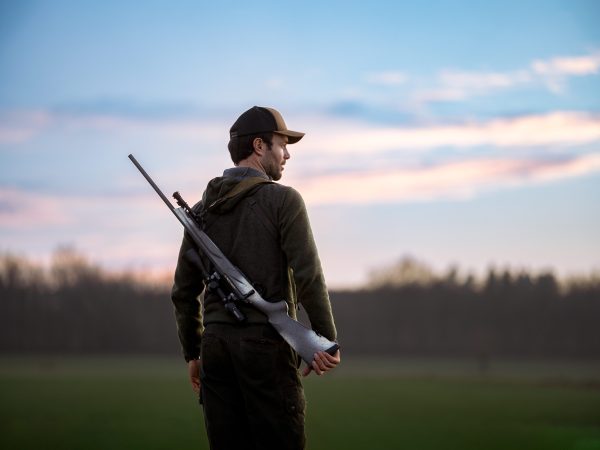 Horizon Elite Shade Gallery